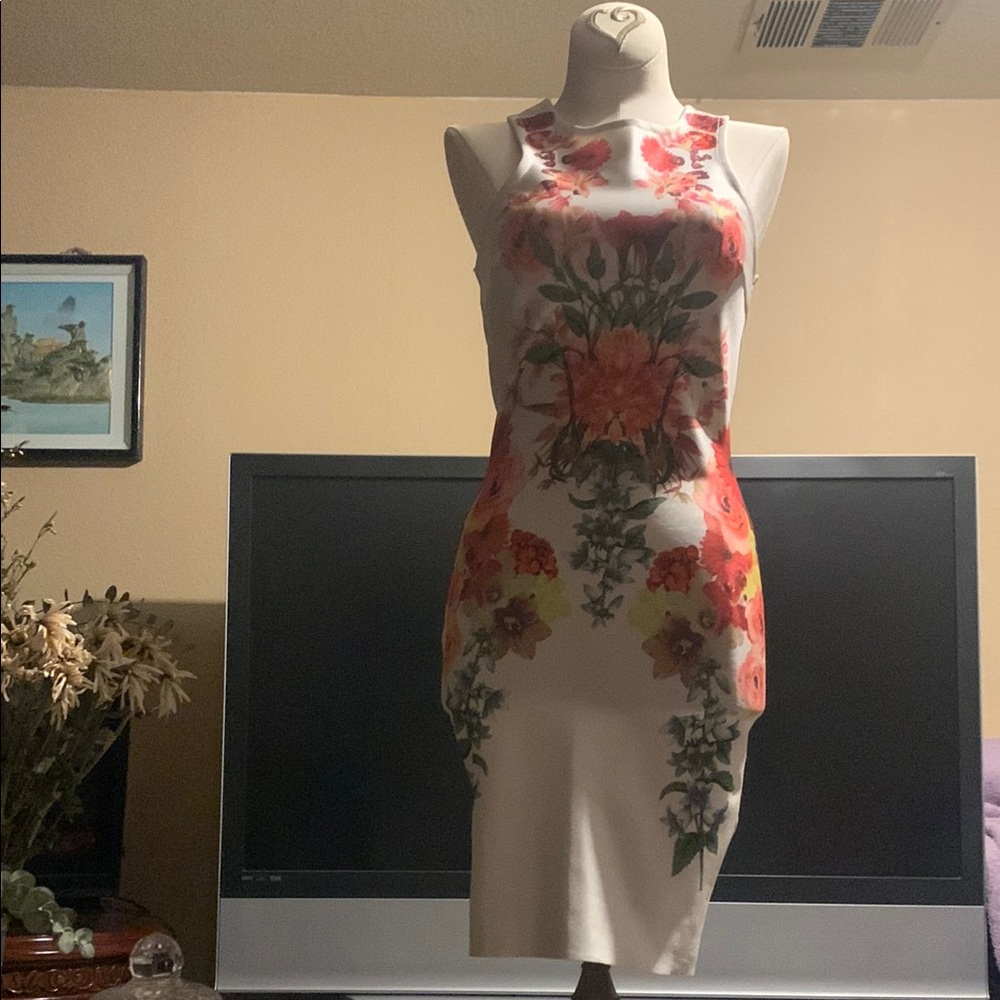 Floral Sleeveless Dress - White and Red